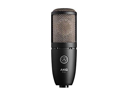 AKG P220 Großmembran Kondensator Mikrofon - 2